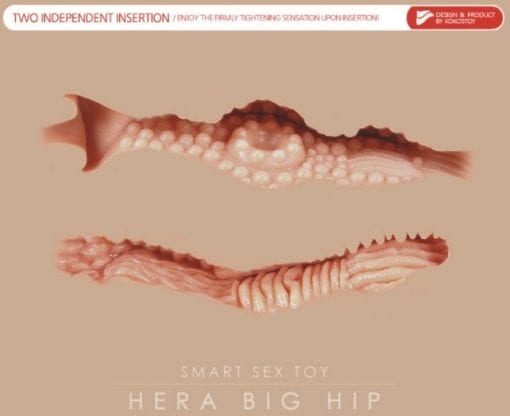 Real Hip Hera 1:1 - Image 12