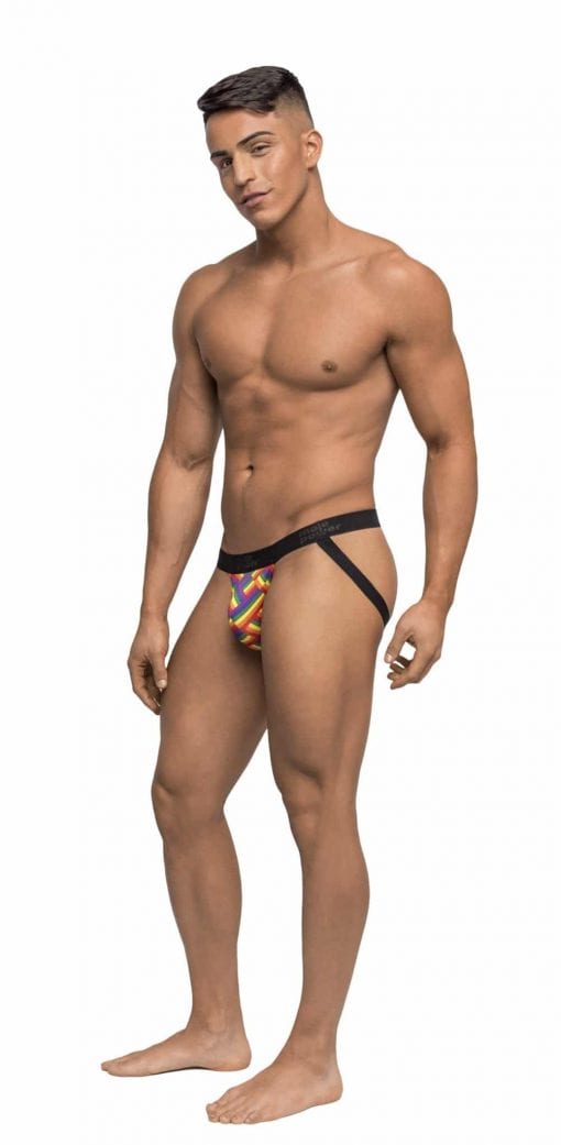 Male Power Pride Fest Jock - Image 2