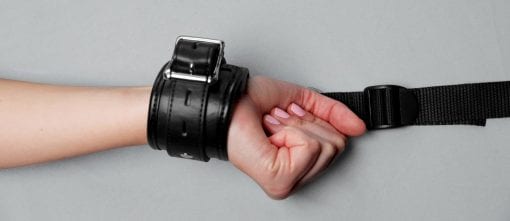 Bed Restraint Kit - Image 4