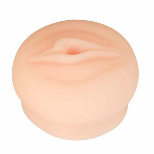 Pussy Donut for Pump Cylinder - Image 2