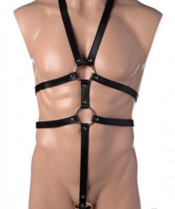 Male Full Body Harness