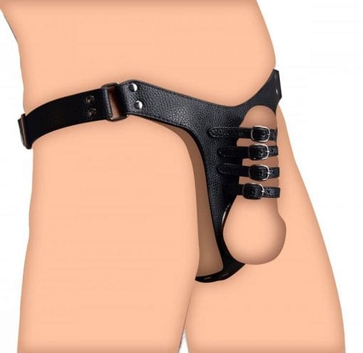 Male Chastity Harness