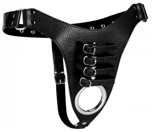 Male Chastity Harness - Image 2
