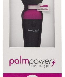 PalmPower Massage Wand Recharge Waterproof