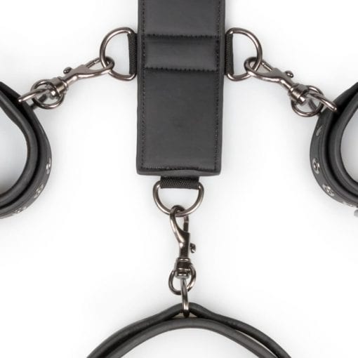 Neck and Wrist Restraint - Image 5