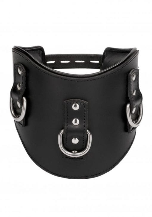 Heavy Duty Padded Posture Collar - Black