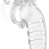 Model 12 - Chastity - 5.5" - Cage with Plug - Transparent