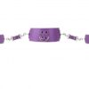 Collar with Cuffs - Purple