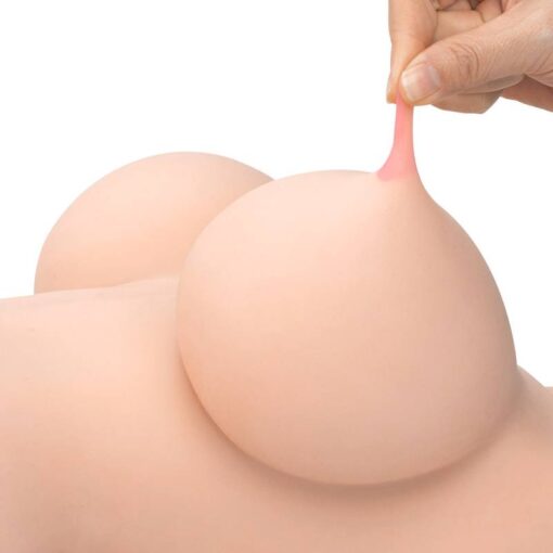Love Torso Helen - Image 4