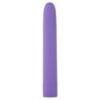 Eezy Pleezy 10 Speed 18cm Bullet Vibrator Purple