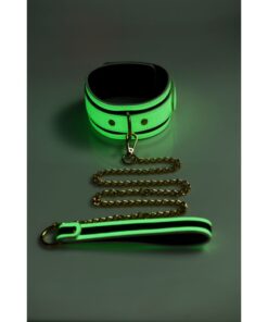 Kink in the Dark Glowing Collar and Lead Fluro Green