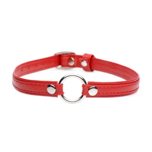 Fiery Pet Leather Choker w Silver Ring Red