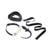 Puppy Play Set incl Gag