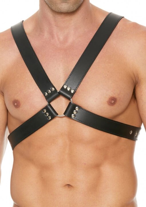 Men's 1.75" Large Buckle Harness - Black