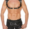 Men Harness with Neck Collar- Leather - Black