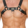 Chest Bulldog Harness - Black/Black - L/XL
