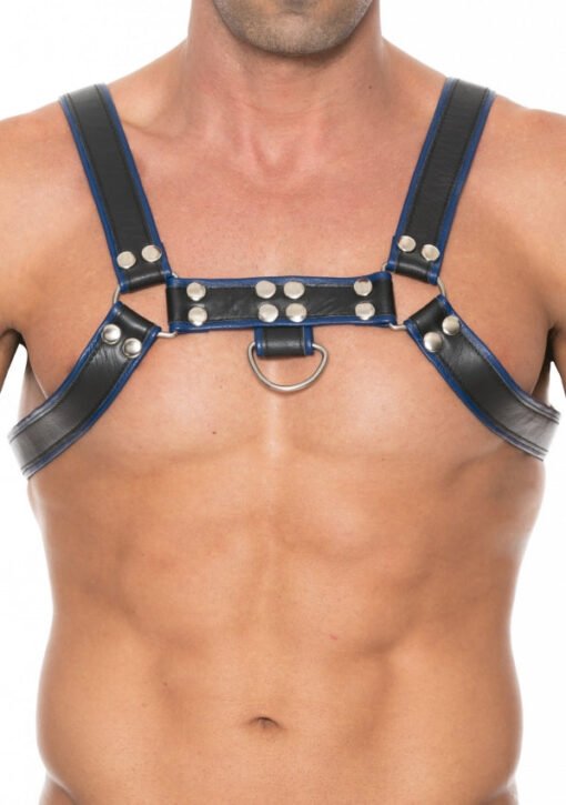 Chest Bulldog Harness - Black/Blue - S/M