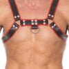 Chest Bulldog Harness - Black/Red - S/M