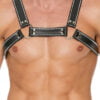 Z Series Chest Bulldog Harness - Black/Black - S/M