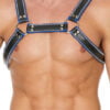 Z Series Chest Bulldog Harness - Black/Blue - S/M