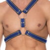 Z Series Scottish Harness - Black/Blue - S/M