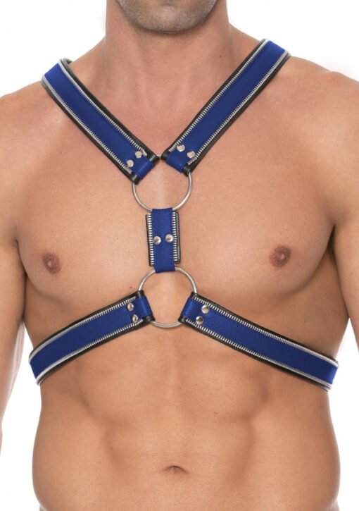 Z Series Scottish Harness - Black/Blue - S/M