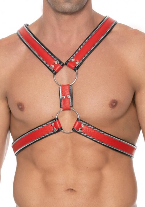 Z Series Scottish Harness - Black/Red - S/M