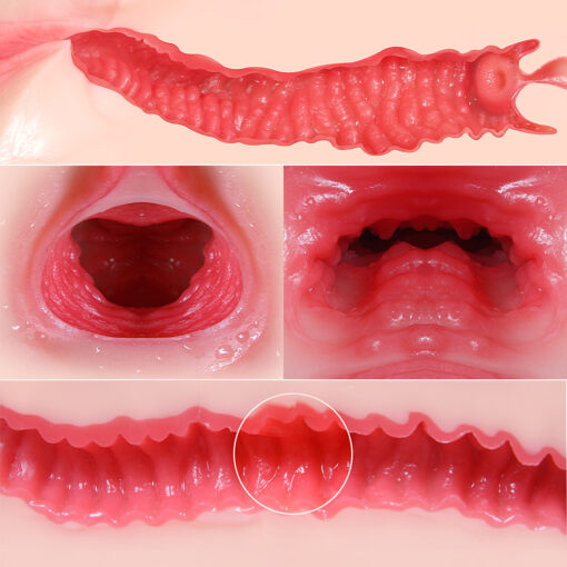 Maria Onahole 3 Butt 1:1 Vaginal and Anal Torso - Image 5
