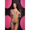 Fencenet Rainbow Mini Dress