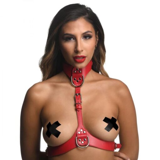 Red Female Chest Harness S/M - Image 2