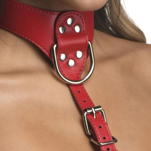 Red Female Chest Harness S/M - Image 4