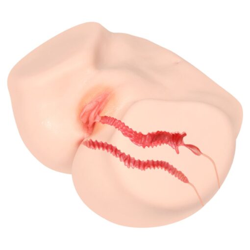 Vanilla Onahole Edn 4 Pussy and Ass 1:1 Torso - Image 3