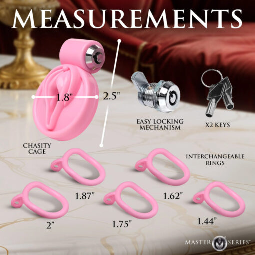 Pussification Vulva Chastity Cage - Image 2
