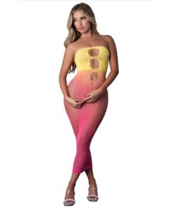 Sunrise Long Tube Dress Ombre