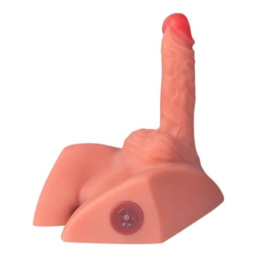 Michael 2.5kg USB Auto Thrusting 20cm Male Cock and Ass - Image 4